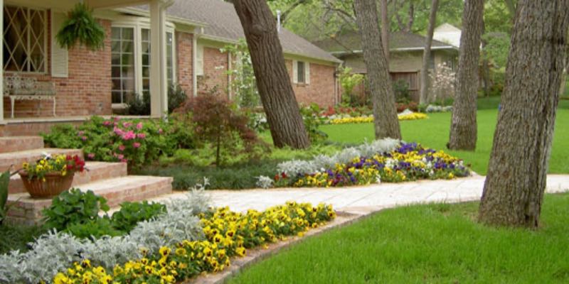 Landscape Installation in Colleyville