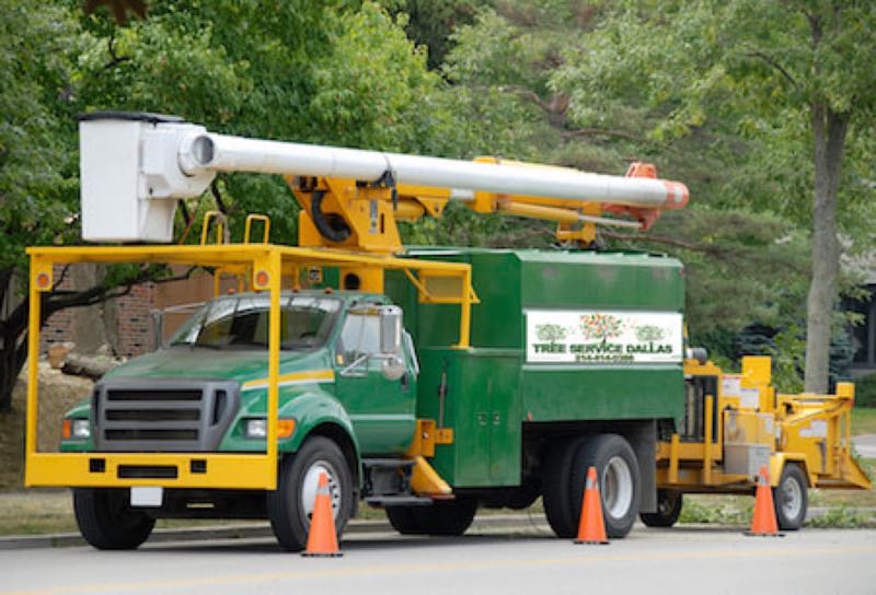 Stump Grinding in Colleyville