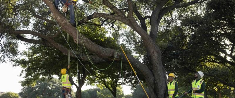 {SERVICE_NAME} project in Colleyville