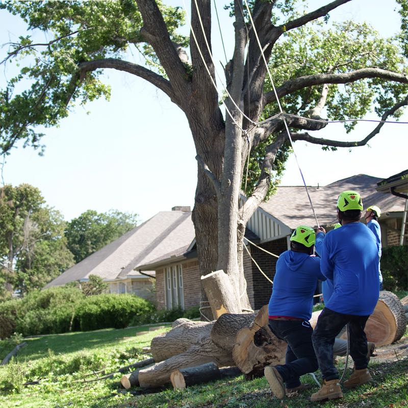 {SERVICE_NAME} project in Colleyville