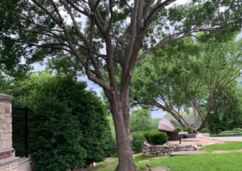 {SERVICE_NAME} project in Colleyville